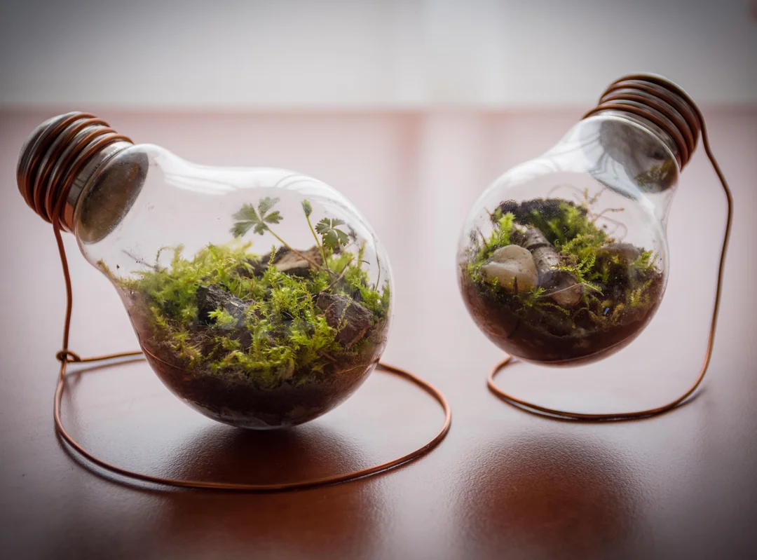 Infographic showcasing the journey of eco-innovation and its positive environmental outcomes